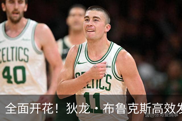 全面开花！狄龙·布鲁克斯高效发挥助力太阳